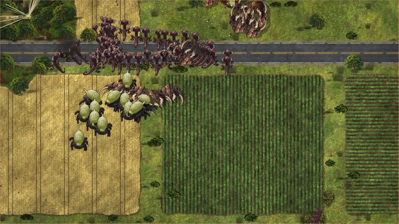 A column of warriors crossing a road between fields.